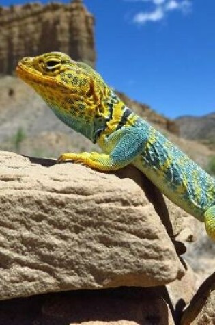 Cover of Collared Lizard Says, Ain't I Pretty? Journal