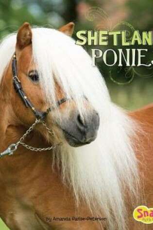 Cover of Shetland Ponies