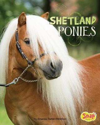 Cover of Shetland Ponies