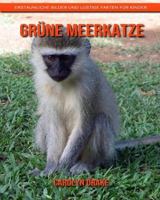 Book cover for Grüne Meerkatze