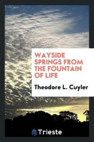 Cover of Wayside Springs from the Fountain of Life