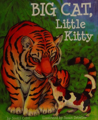 Book cover for Big Cat, Little Kitty