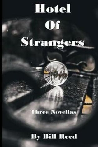 Cover of Hotel of Strangers
