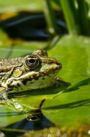 Cover of Frog Notebook