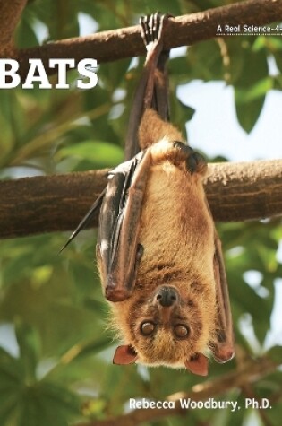 Cover of Bats