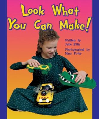 Book cover for Look What You Can Make! Level 6