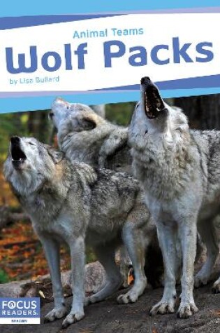 Cover of Animal Teams: Wolf Packs