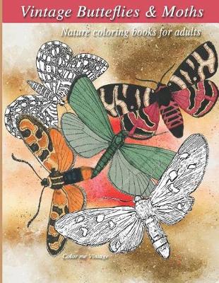 Book cover for Vintage butterflies & Moths