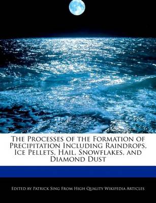 Book cover for The Processes of the Formation of Precipitation Including Raindrops, Ice Pellets, Hail, Snowflakes, and Diamond Dust