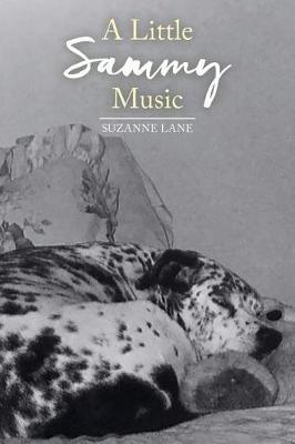 Book cover for A Little Sammy Music