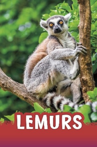 Cover of Lemurs