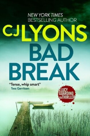 Cover of Bad Break