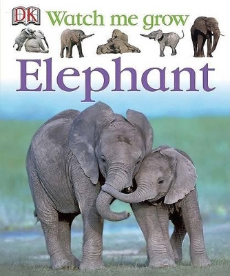 Cover of Elephant