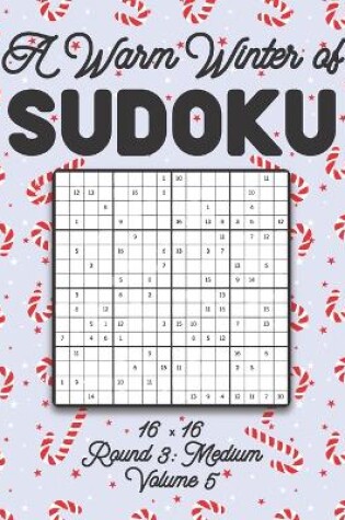 Cover of A Warm Winter of Sudoku 16 x 16 Round 3