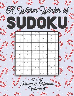 Book cover for A Warm Winter of Sudoku 16 x 16 Round 3