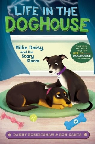 Cover of Millie, Daisy, and the Scary Storm