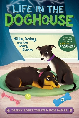 Book cover for Millie, Daisy, and the Scary Storm