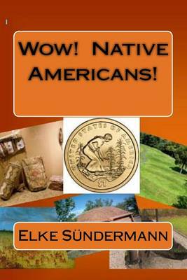 Book cover for Wow! Native Americans!