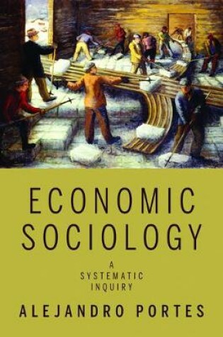 Cover of Economic Sociology