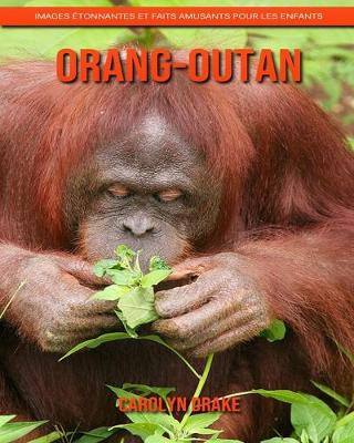Book cover for Orang-outan