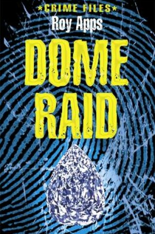 Cover of Dome Raid