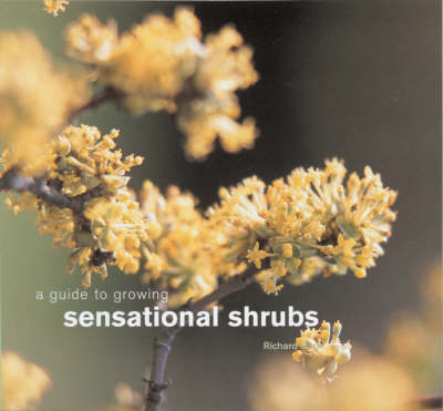Book cover for A Guide to Growing Sensational Shrubs