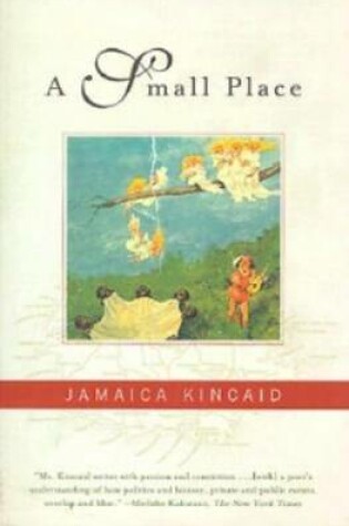 Cover of A Small Place