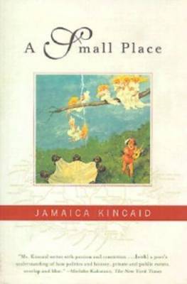 Book cover for A Small Place