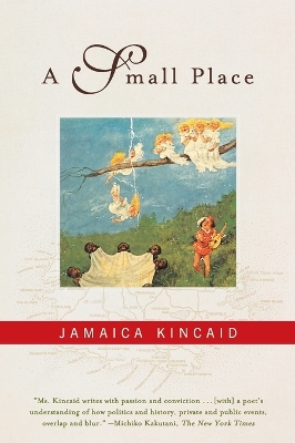 Book cover for A Small Place