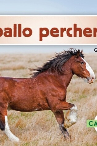 Cover of Caballo percherón (Clydesdale Horses)