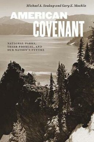 Cover of American Covenant