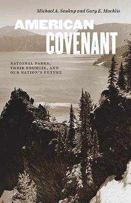 Book cover for American Covenant