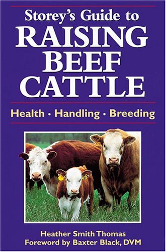 Book cover for A Guide to Raising Beef Cattle