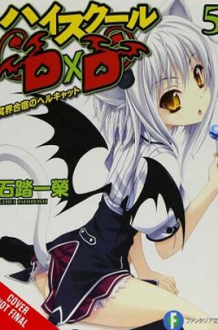 Cover of High School DxD, Vol. 5 (light novel)