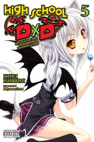 Cover of High School DxD, Vol. 5 (light novel)