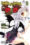 Book cover for High School DxD, Vol. 5 (light novel)