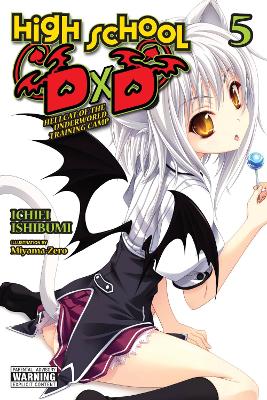 Cover of High School DxD, Vol. 5 (light novel)