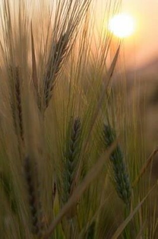 Cover of Golden Stalks of Wheat in a Field on a Sunny Day Journal