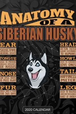 Book cover for Anatomy Of A Siberian Husky