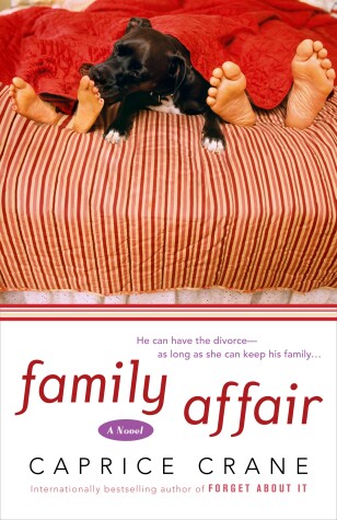 Book cover for Family Affair