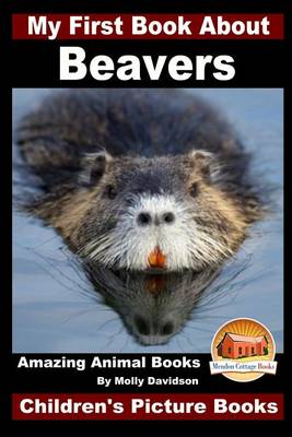 Book cover for My First Book About Beavers - Amazing Animal Books - Children's Picture Books