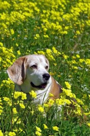 Cover of Beagle Dog in a Yellow Flower Field Journal