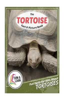 Book cover for The Tortoise Fact and Picture Book