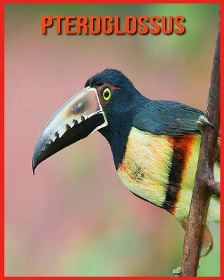 Book cover for Pteroglossus