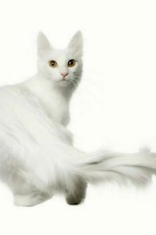 Cover of Turkish Angora