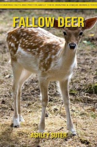 Cover of Fallow Deer