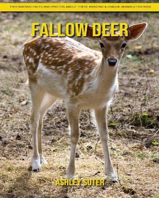 Book cover for Fallow Deer