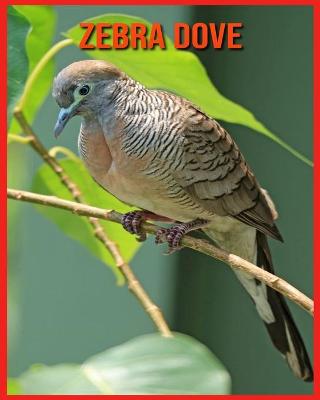 Book cover for Zebra Dove