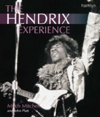 Book cover for The Hendrix Experience