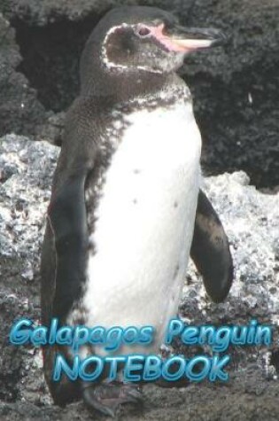 Cover of Galapagos Penguin NOTEBOOK